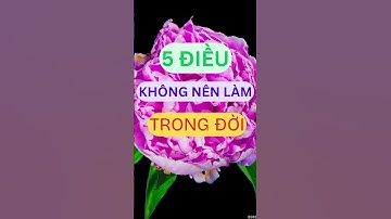5 Điều TUYỆT ĐỐI ĐỪNG Làm Trong Đời – Biết Sớm Bớt Hối Hận #SHORTS #tưduytíchcực #baihoccuocsong