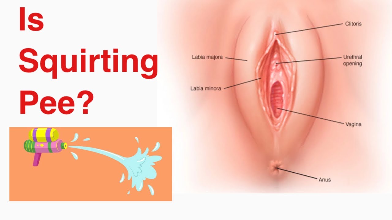 Squirting Vs Peeing