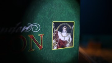 How to Play Field Commander: Napoleon - Enemy Turn