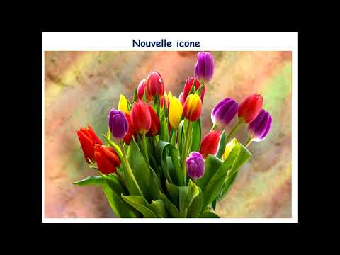 Changement d'Icone dans une Fenêtre Jframe en JAVA.