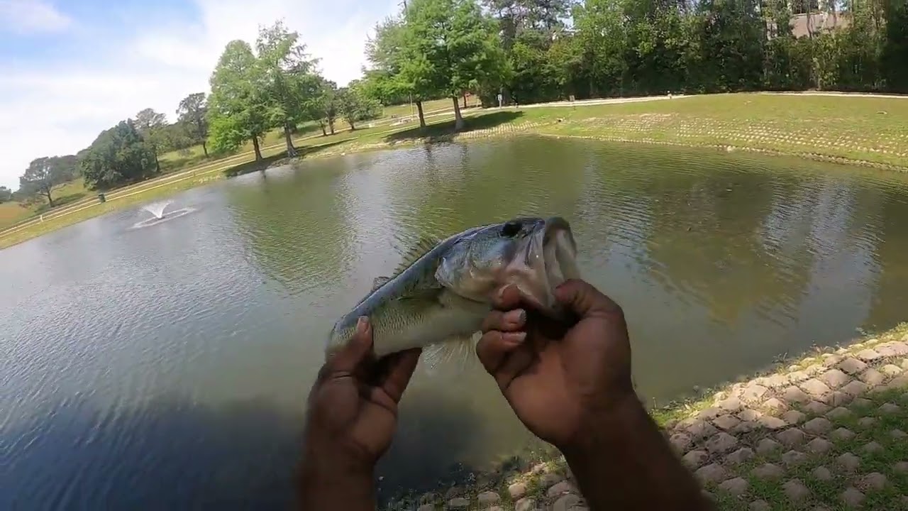 Post Spawn Bass Fishing Craziness