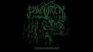 Panopticon - The End is Growing Near