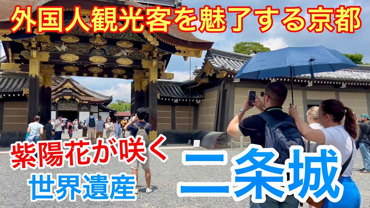 2025年6月4日 【外国人観光客を魅了する京都】紫陽花が咲く世界遺産