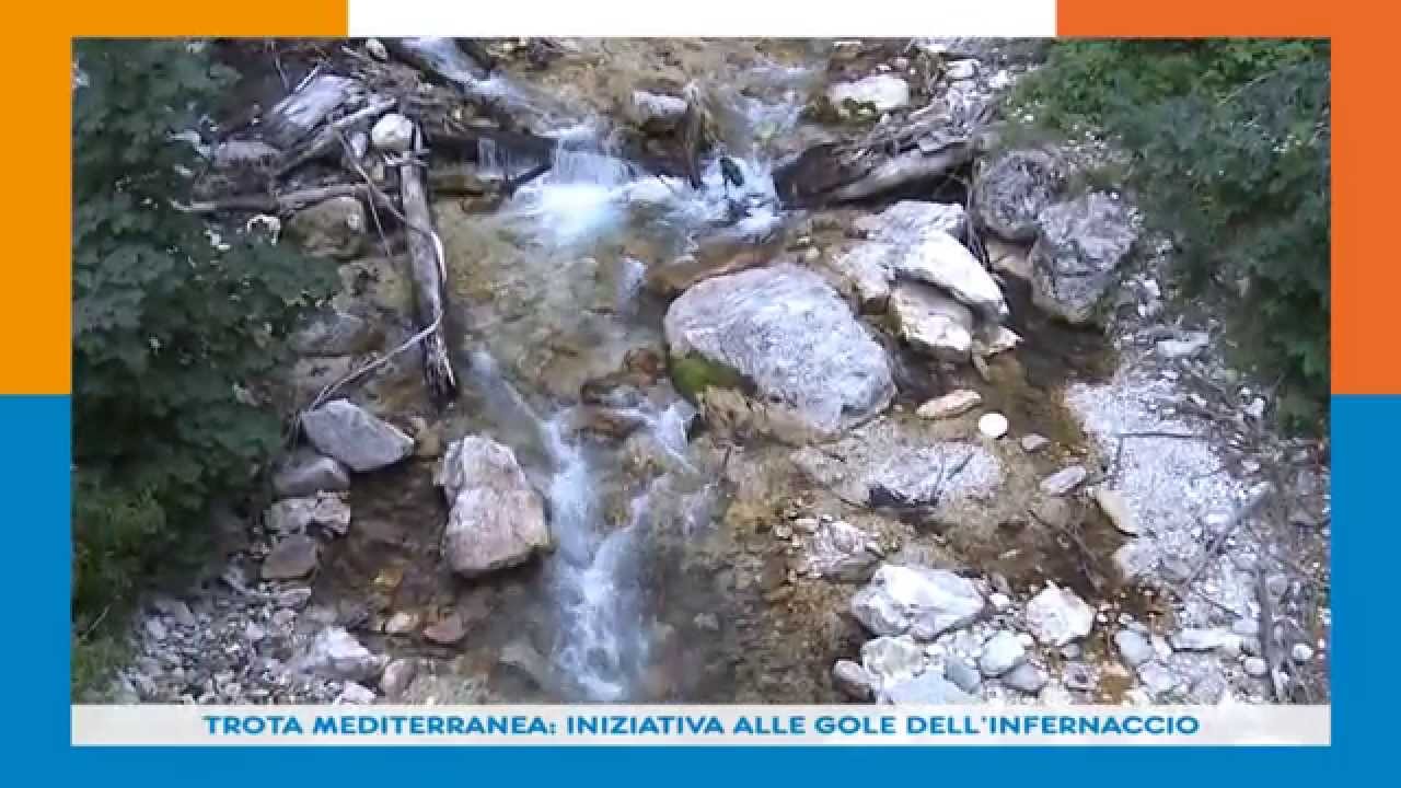 TROTA MEDITERRANEA INIZIATIVA ALLE GOLE DELL INFERNACCIO 27 07 15
