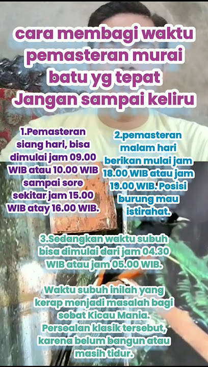 Cara membagi waktu pemasteran murai batu yg tepat #shorts #muraibatu #kicaumania #birds