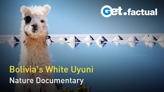 The Colors of the Desert - The White Uyuni | Nature Documentary