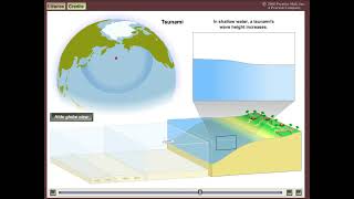 Tsunami Wave Visualization