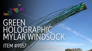 Green Holographic Mylar Windsock - In the Breeze