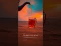 مكشات شاهي تصويري احترافي ت ص م ي م ي اكسبلورر فولو بريده دعم الملاك المضلوم 