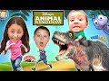 Disney's Animal Kingdom Adventure FUNnel V Park Hopper Family Vacation Fun! 2015