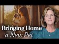 How to Integrate a New Pet Into Your Family After Pet Loss | Tami Hendrix