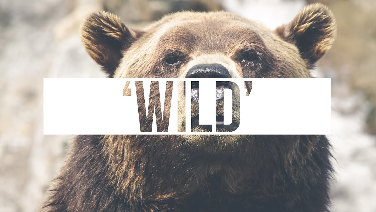 'Wild' Feel Good Epic Flume Type Hip Hop Instrumental Rap Beat | Chuki Beats rap song 2019