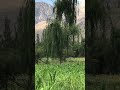 Northern village pakistan shots  ashiq hussain vlogger