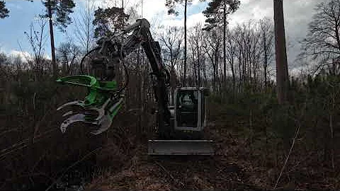 Kneifen mit Wacker Neuson ET65 und Othmerding BS-650 - Gestrüpp vom Waldweg entfernen - Cabview 4K