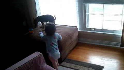 emory and t