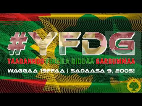 Itti Fufiinsa Gumaachaa Fii Marii Hawaasa Oromoo Biyya Alaa 