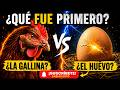 La CIENCIA Revelo Por FIN Que Fue Primero El HUEVO o la GALLINA? #ciencia #misterio #datoscuriosos