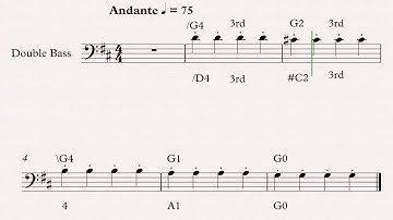 W3 G String Notes in D Major - Bass