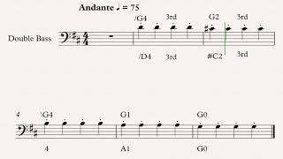 W3 G String Notes in D Major - Bass