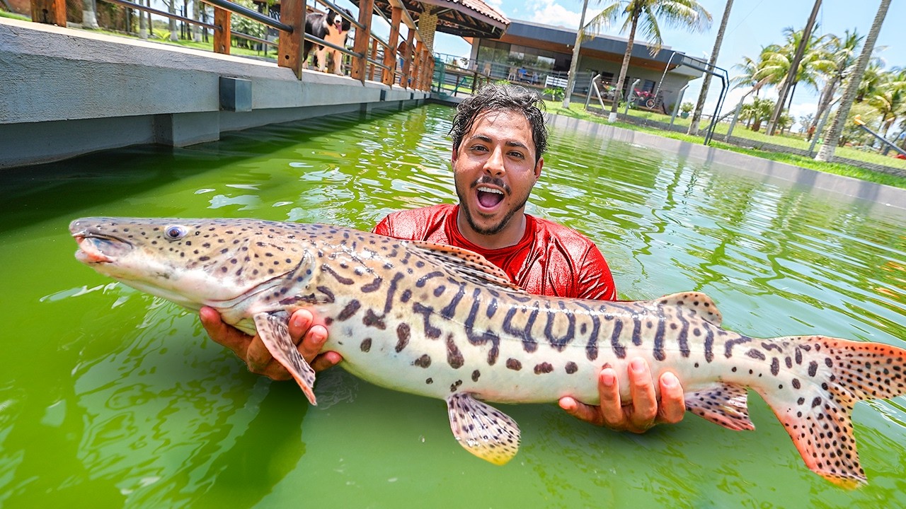 DEI UM PEIXE GIGANTE PRO MEU IRMÃO RENATO GARCIA