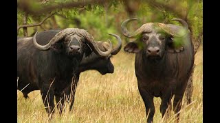 Vivutio vya Utalii Tanzania