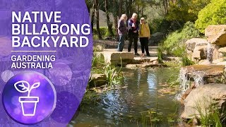 A native garden with a naturalistic billabong