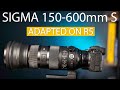 Sigma 150-600mm Sport Review | Canon R5 R6 | RF adapted lenses