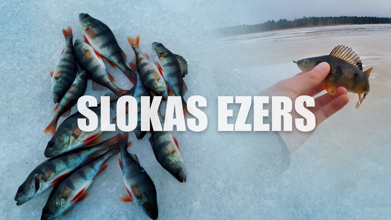 SLOKAS EZERS, BĻITKOŠANA, BALANSIERIS, ŪDAS