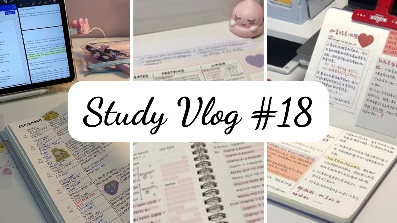 [STUDY VLOG#18] Learning is like rowing upstream, not to advance is to ...