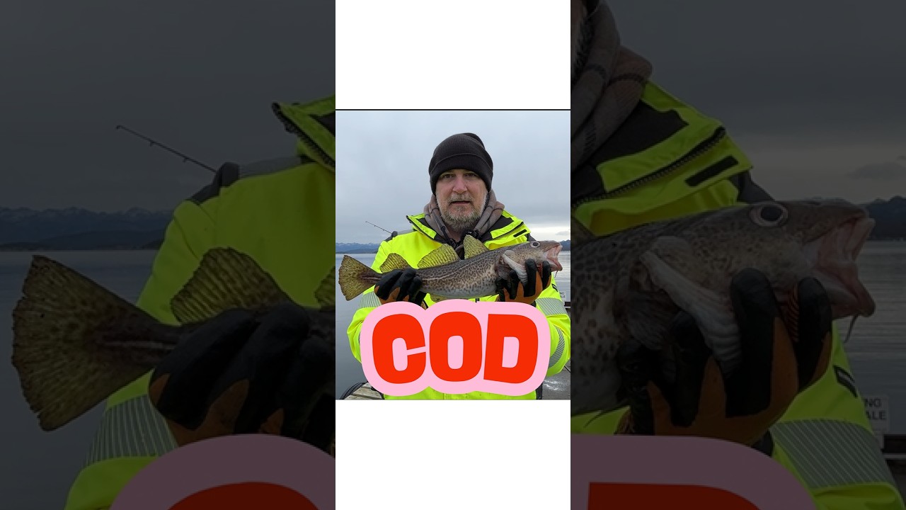 Drones Ships oh yeah and fish