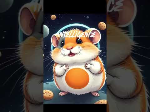 Yarmi Vs Player 456 Memes Yarmi Hamsters Edit Pet Funny Squidgame Squidgame2 456 Shorts