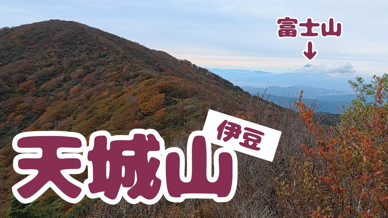 【登山】天城山シャクナゲ周回コース | 富士山ビュースポット3箇所&バスでのアクセスをご紹介 - 2025年11月