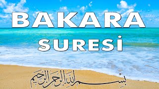 BAKARA SURESİ - "Şeytan, içinde Bakara sûresi okunan evden ürker ve uzaklaşır". Al Baqarah. Бақара.