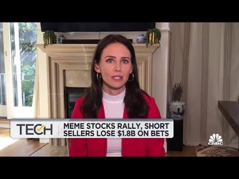 Wish stock continues meme stock rally