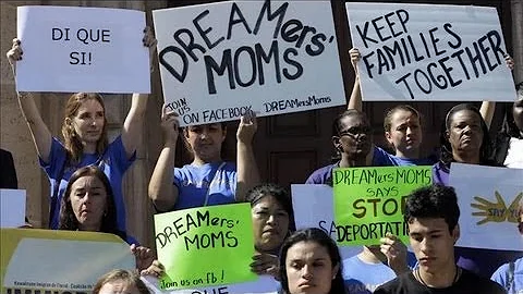 Immigration Drama in Senate - Seib & Wessel
