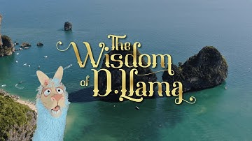 The Wisdom of D. Llama
