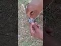 I lost my coins part:2