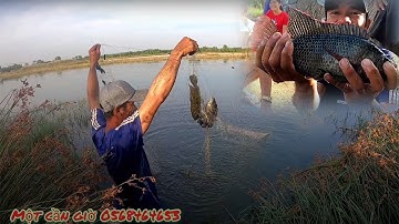 HAI CẬU CHÁU GIĂNG LƯỚI CÁ RÔ PHI TRÚNG MÁNH | Tập 327 | Một Cần Giờ