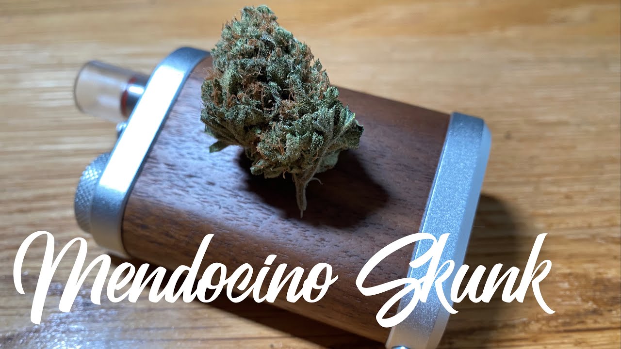 Mendocino Skunk Strain Review UK.