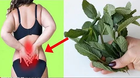 With 1 ingredient, get rid of back pain, joint pai...