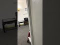 Commercial Fire Alarm Testing - DSC Neo