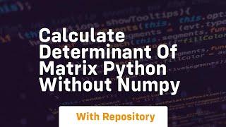 calculate determinant of matrix python without numpy