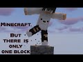 Minecraft one block 100 days survival || Part 1