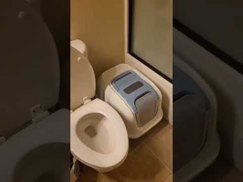 Slave Husband Orders From Domineering Goddess Siren Siren Dominatrix Domineering Cleaning 