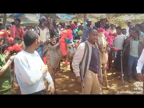 Aanaa Jimmaa Arjootti Eebba Inisheetiivii Waajjira Bulchiinsa Ganda Bara 2017