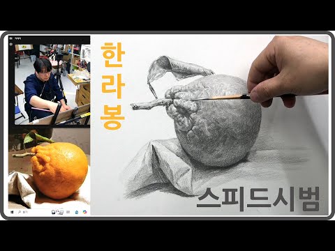 기초소묘 한라봉 스피드시범 예중예고 서울미고 서울공연예고 미술학원