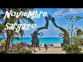 Playa Del Carmen LIBRE DE SARGAZO 8 De Noviembre 2019 | Playa Del Carmen Hoy