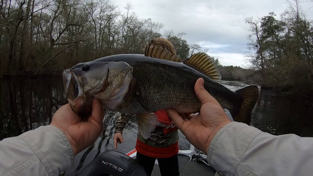 St Mary's River Bass Fishing YouTube