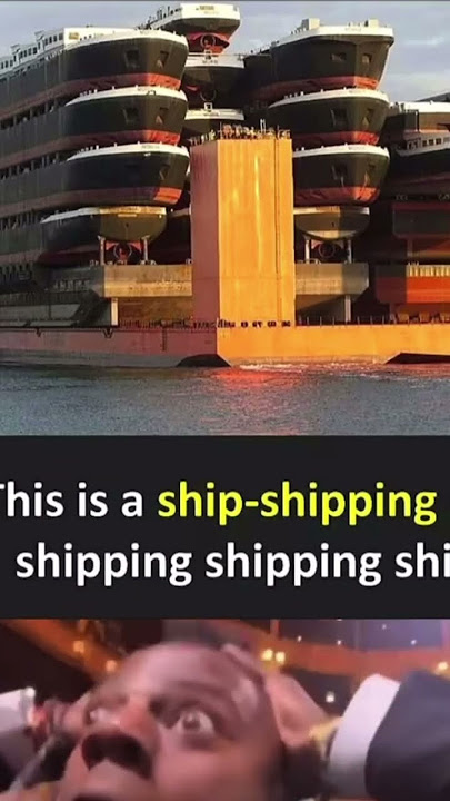 Ships shipped on a ship☠️