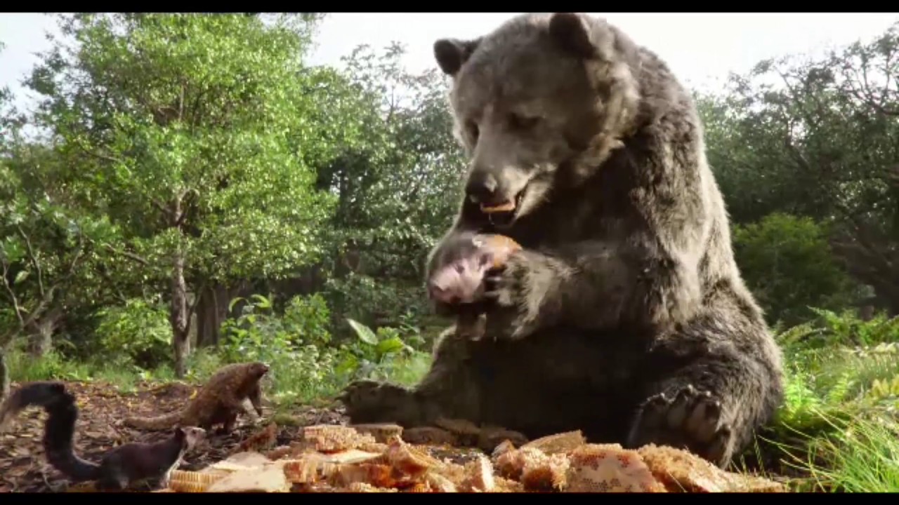 仏サイトが選ぶ 家族で歌えるディズニー映画 映画ニュース 映画 Com